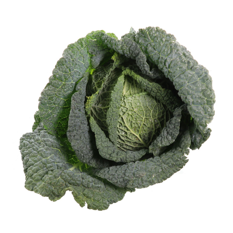 BIO CHOU VERT 8PCS